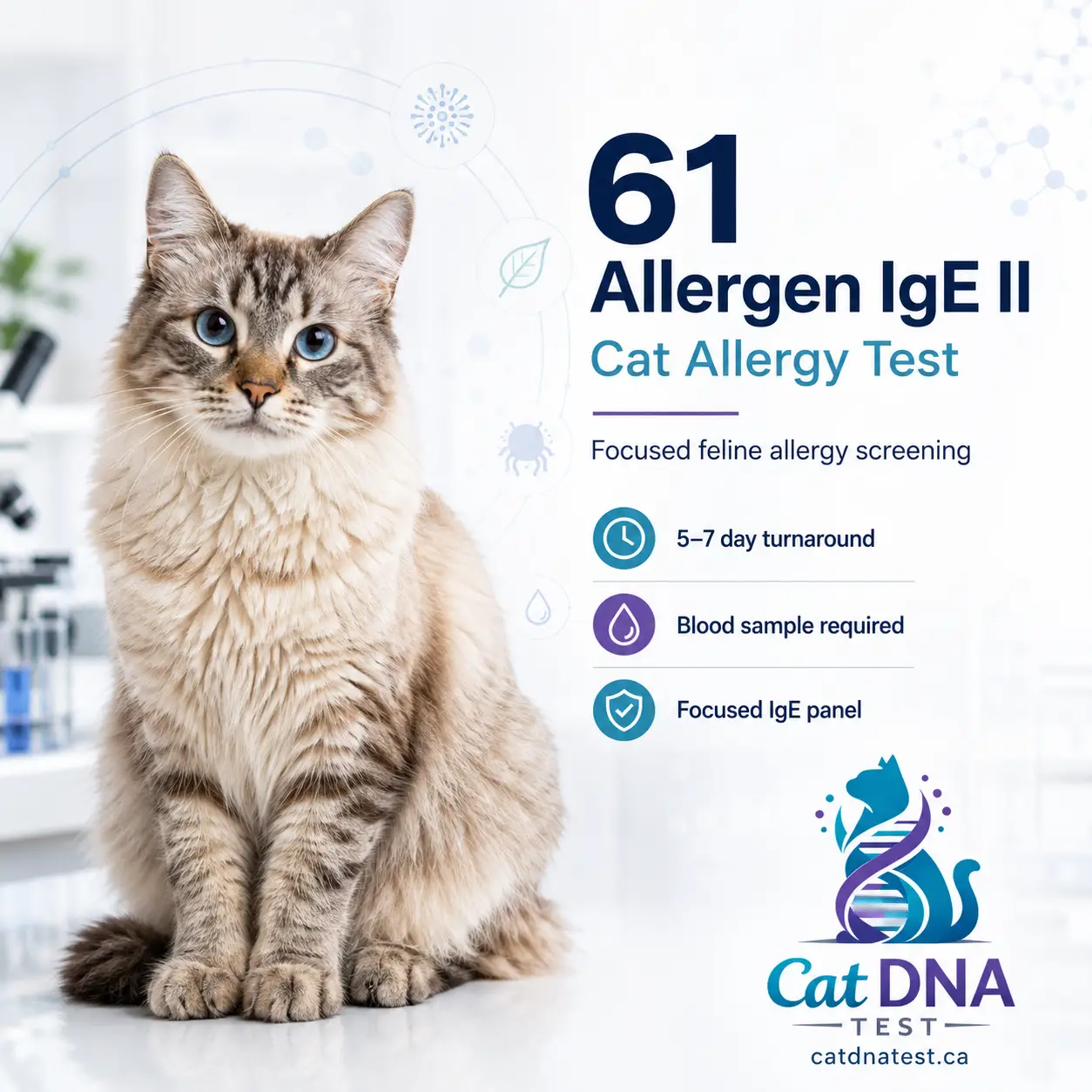 Cat Allergy Test Single Panel 61 Allergen IgE II – Comprehensive Feline Allergy Screening